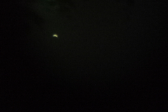 ChristineFrance20201219.1