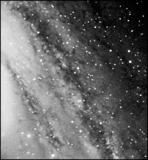 black and white image of M31
