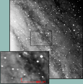 Cepheid variable star highlighted in an image of M31, the Andromeda galaxy.